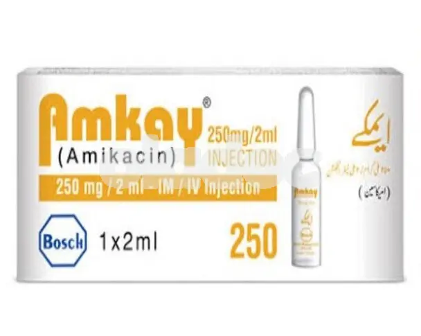 Amkay Injection 250mg/2ml