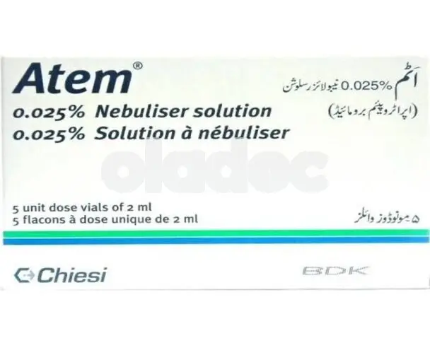 Atem Nebuliser Solution 250mcg 1ml