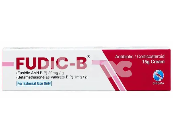 Fudic B Cream