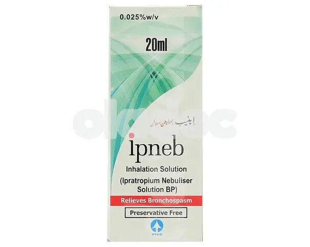 Ipneb Nebulizer Solution 250mcg/ml