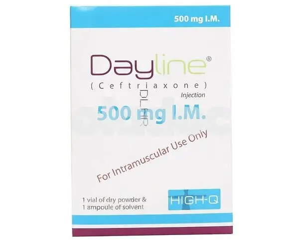 Dayline Injection IM 500mg