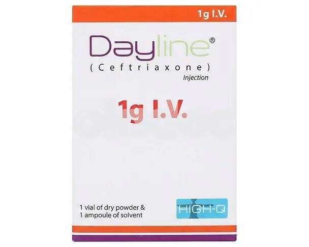 Dayline Injection IV 1gm