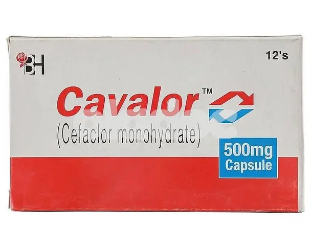 Cavalor Capsule 500mg