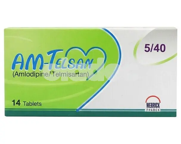Am-Telsan Tablet 5 / 80mg