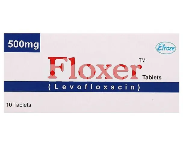 Floxer Tablet 500mg