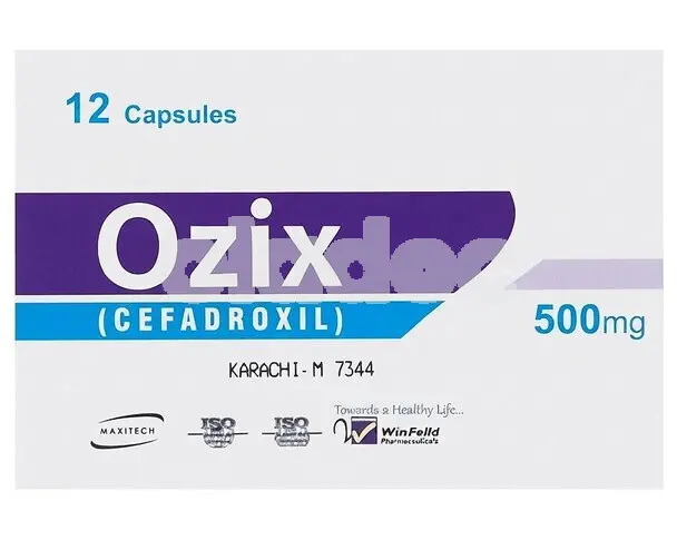 Ozix Capsule 500mg