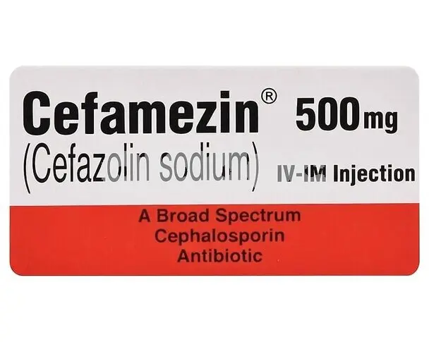Cefamezin IV/IM Injection 500mg