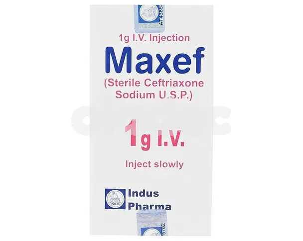 Maxef injection iv 1gm