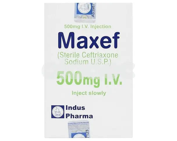 Maxef injection iv 500mg