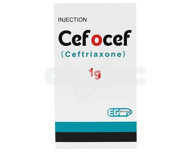 Cefocef Injection 1gm