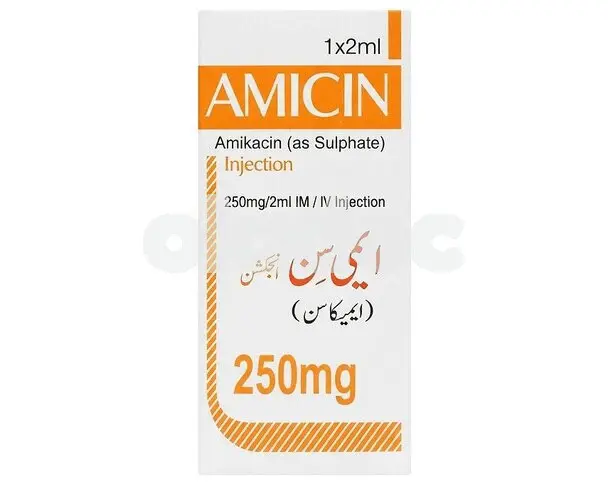 Amicin Injection 250mg