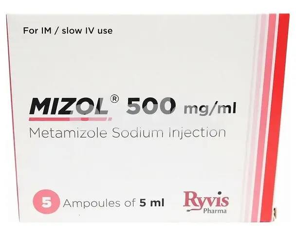 Mizole Tablet 500mg