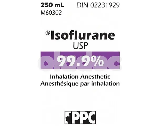 Isoflurane Injection 99.90%