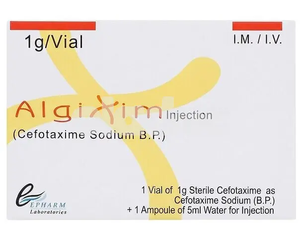 Algixim Injection 1gm