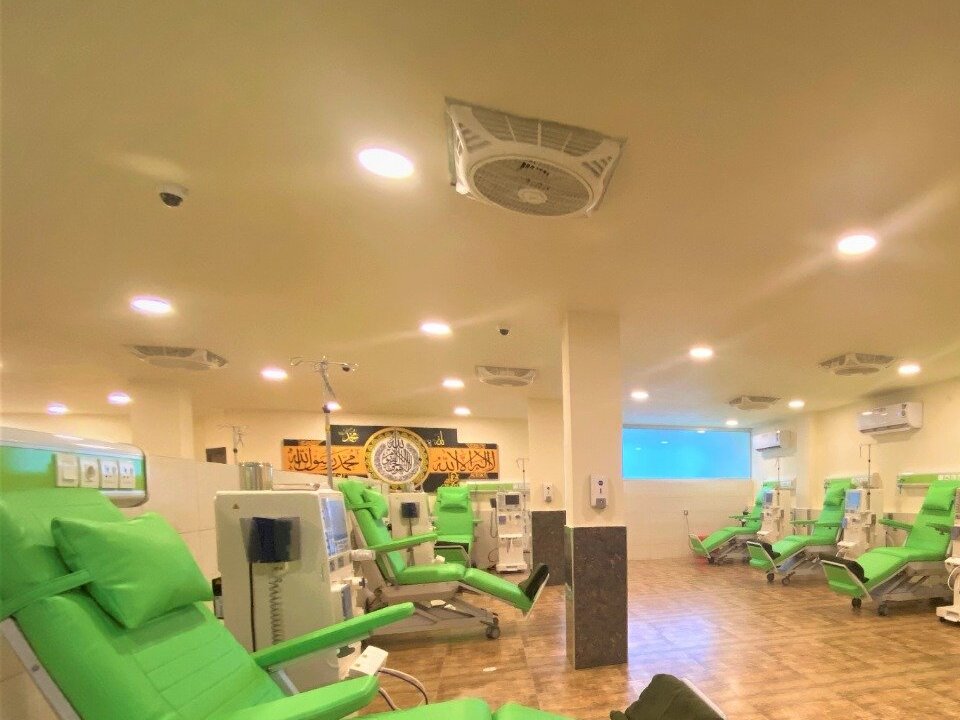 Peel by Dr. Andaleeb Khan image 1